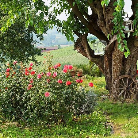 Agriturismo Albarossa Nizza Monferrato Ngoại thất bức ảnh