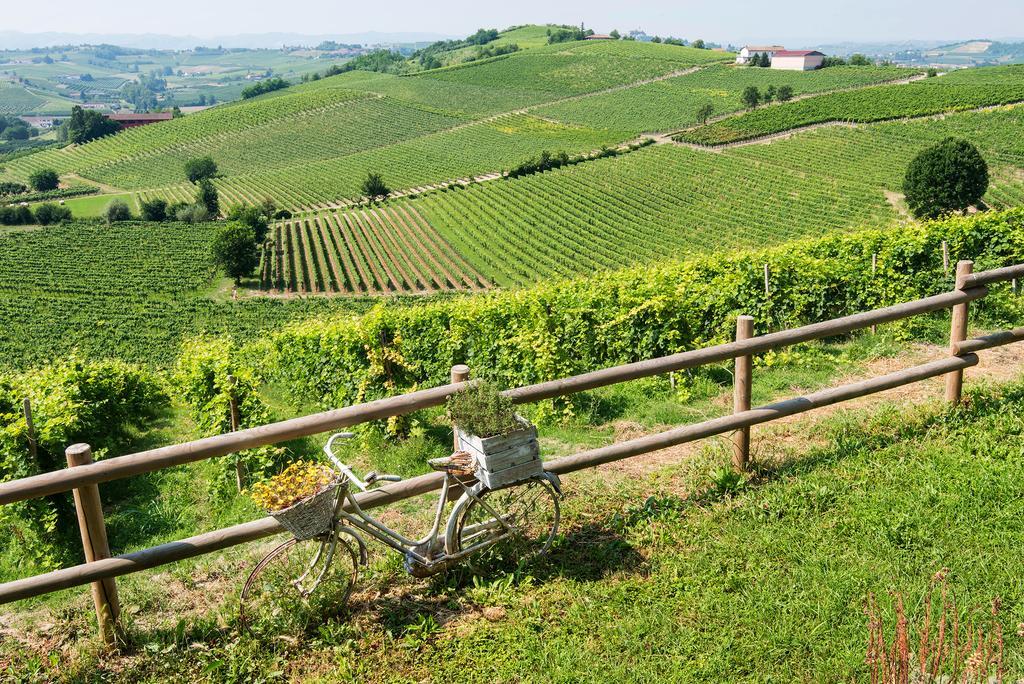Agriturismo Albarossa Nizza Monferrato Ngoại thất bức ảnh