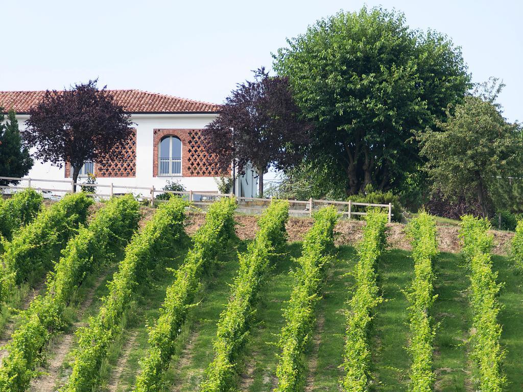 Agriturismo Albarossa Nizza Monferrato Ngoại thất bức ảnh