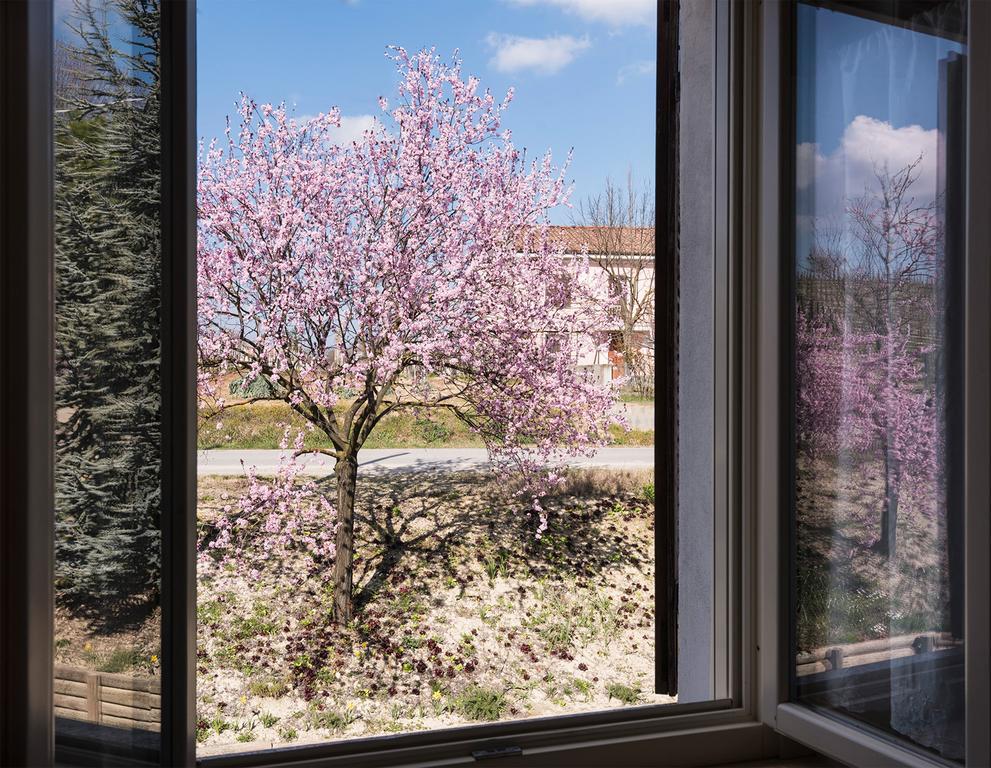 Agriturismo Albarossa Nizza Monferrato Ngoại thất bức ảnh