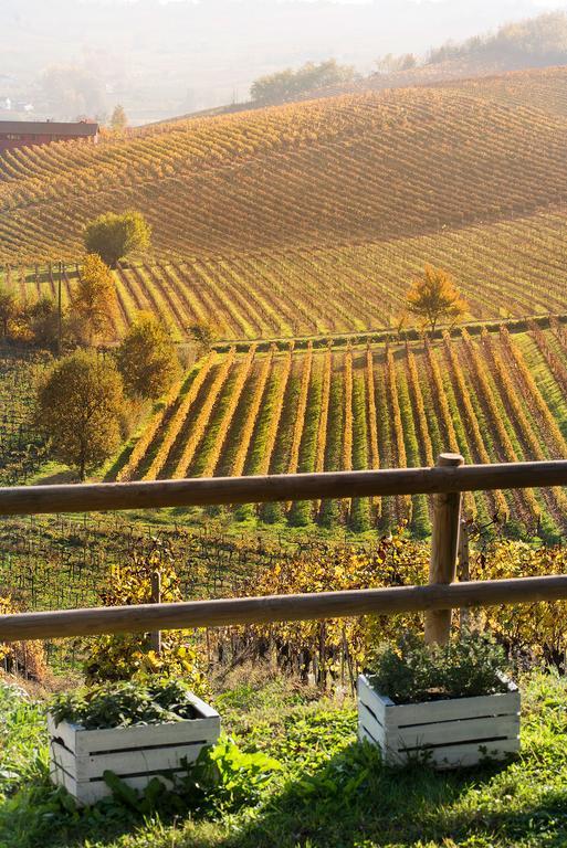 Agriturismo Albarossa Nizza Monferrato Ngoại thất bức ảnh