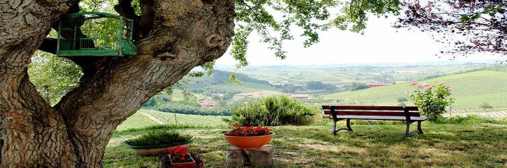 Agriturismo Albarossa Nizza Monferrato Ngoại thất bức ảnh
