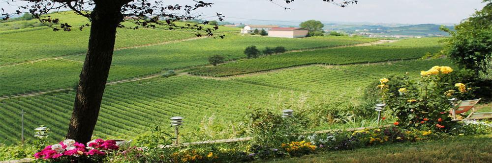 Agriturismo Albarossa Nizza Monferrato Ngoại thất bức ảnh