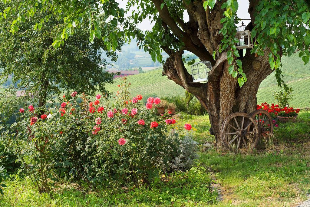 Agriturismo Albarossa Nizza Monferrato Ngoại thất bức ảnh