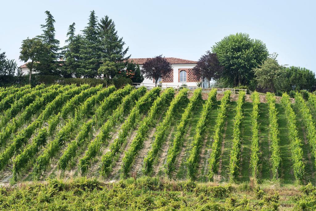 Agriturismo Albarossa Nizza Monferrato Ngoại thất bức ảnh